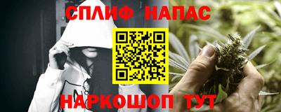 прущие грибы Бузулук