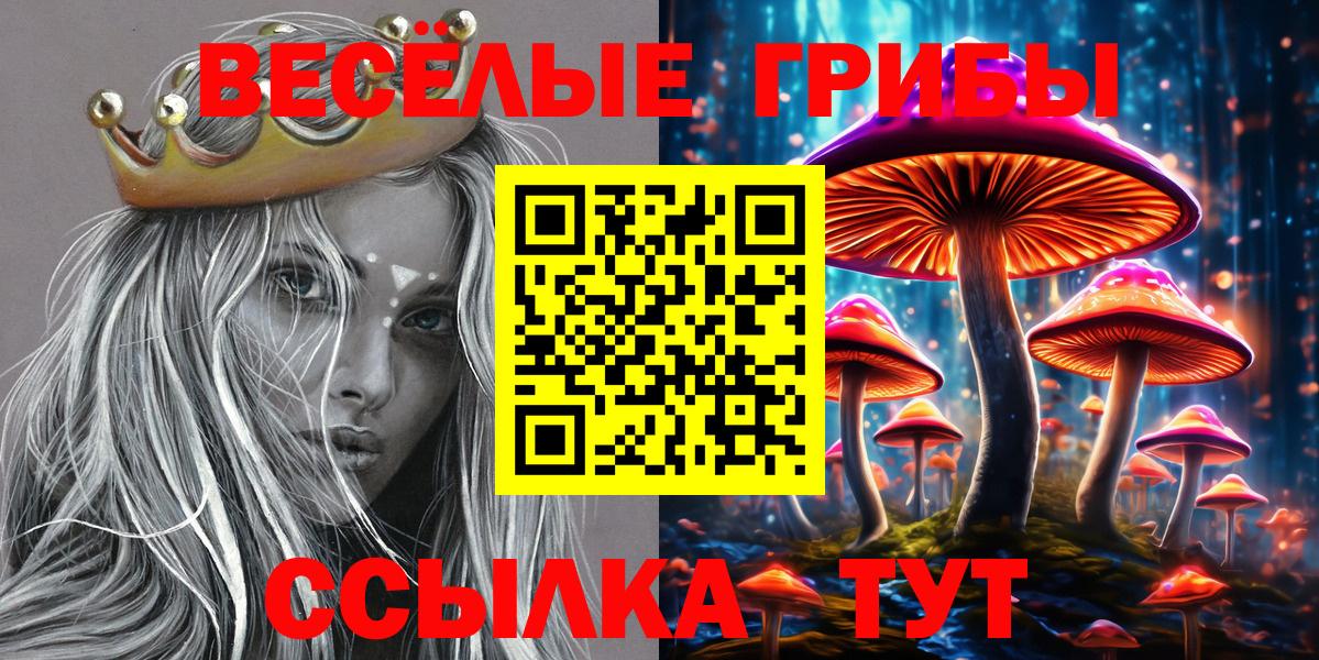 Галлюциногенные грибы Psilocybine cubensis  Вход с VPN  Новозыбков  Галлюциногенные грибы Magic Shrooms 